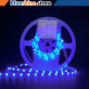led-nwh-2835-600-fx-eco_copy.webp